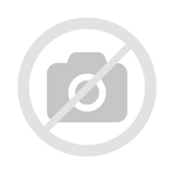 ReaderPen | C-Pen | Reading support | Human reader alternative | Classroom aid